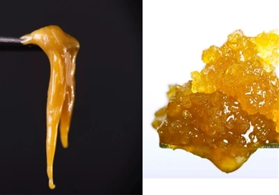 Live vaigu vs live rosin: mis vahe on?